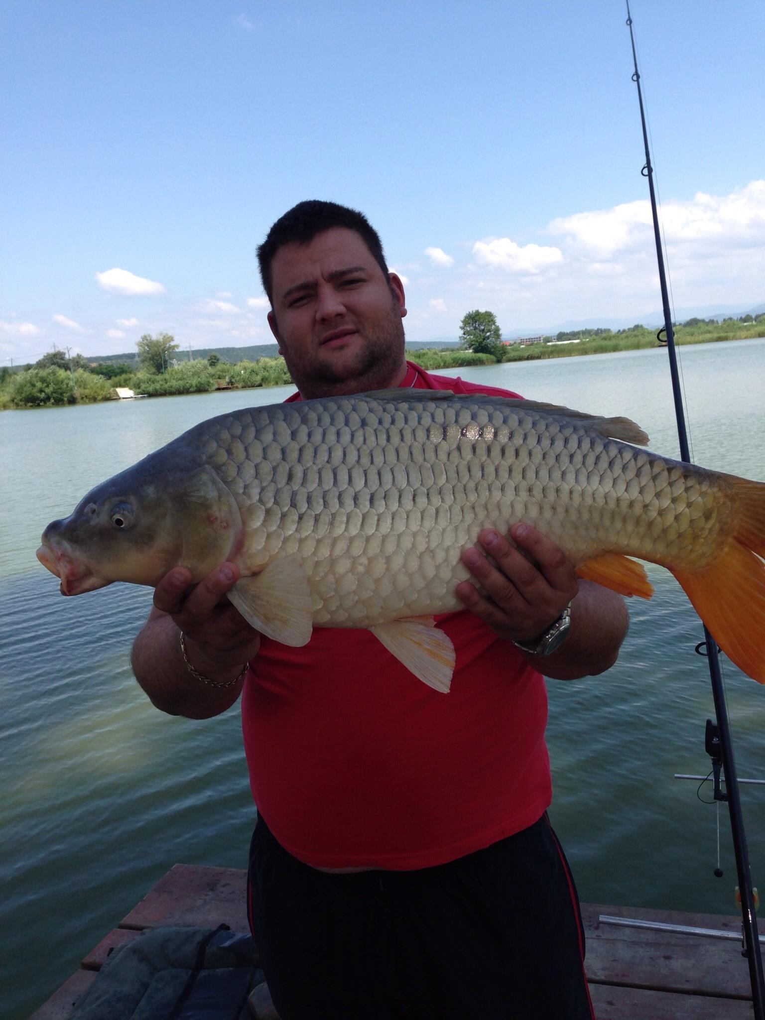 Pleasa 2013 - image11111111111.jpg